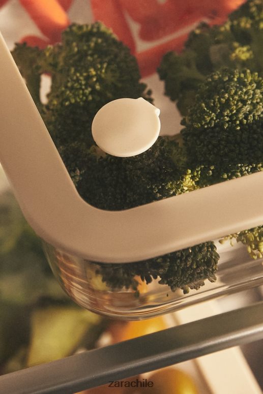 accesorios cl Zara unisexo recipiente hermético 47.34 oz crema JJ06N41690