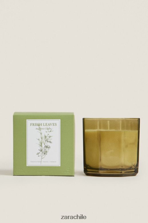 accesorios cl Zara unisexo (500 g) vela perfumada de hojas frescas tierra JJ06N41763