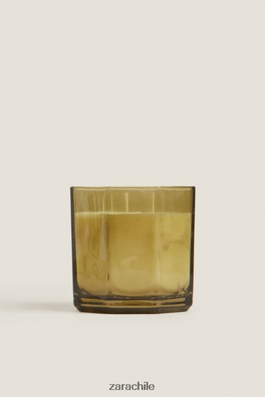 accesorios cl Zara unisexo (500 g) vela perfumada de hojas frescas tierra JJ06N41763