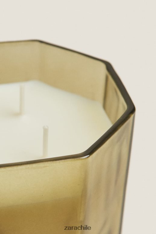 accesorios cl Zara unisexo (500 g) vela perfumada de hojas frescas tierra JJ06N41763