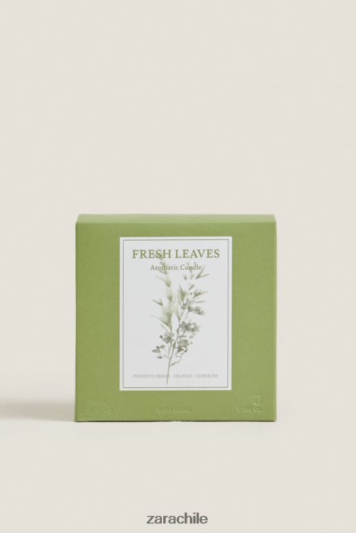 accesorios cl Zara unisexo (500 g) vela perfumada de hojas frescas tierra JJ06N41763