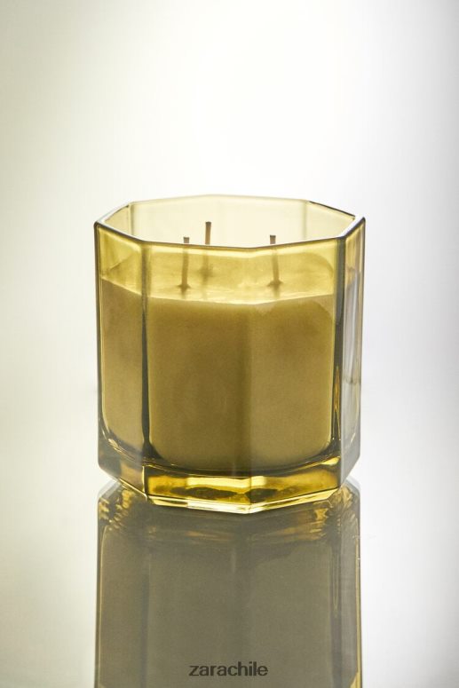 accesorios cl Zara unisexo (500 g) vela perfumada de hojas frescas tierra JJ06N41763