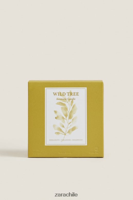 accesorios cl Zara unisexo (500 g) vela perfumada de árboles silvestres verde oliva JJ06N41764
