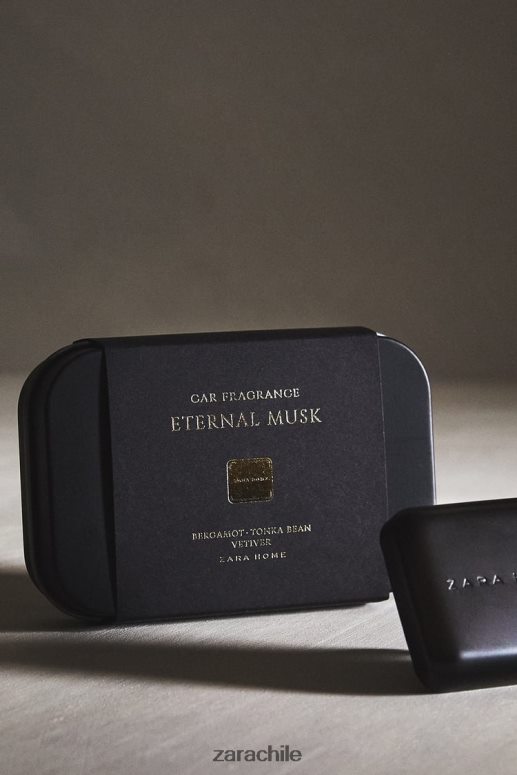 accesorios cl Zara unisexo ambientador de coche almizcle eterno gris JJ06N41772