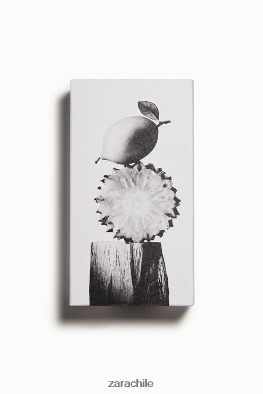 accesorios cl Zara hombres bogoss cuero vibrante 100 ml original JJ06N41362