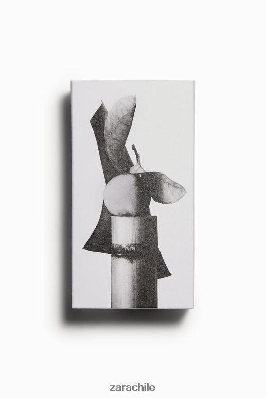 accesorios cl Zara hombres cuero vibrante 100 ml original JJ06N41368