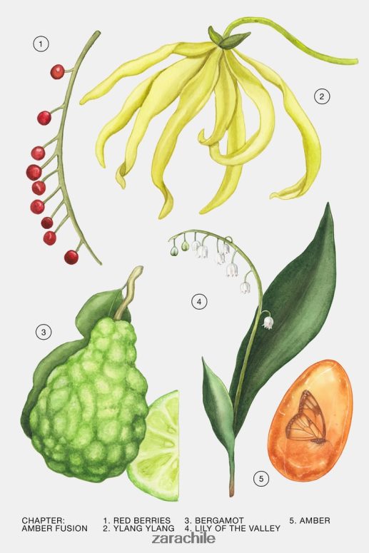 accesorios cl Zara mujer fusión ámbar 30 ml original JJ06N4780