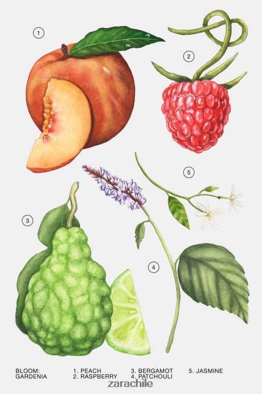 accesorios cl Zara mujer gardenia 90 ml (3,0 onzas líquidas) original JJ06N4805