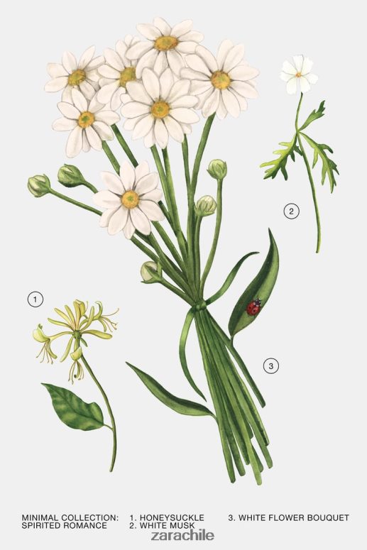 accesorios cl Zara mujer romance enérgico 30 ml original JJ06N4796