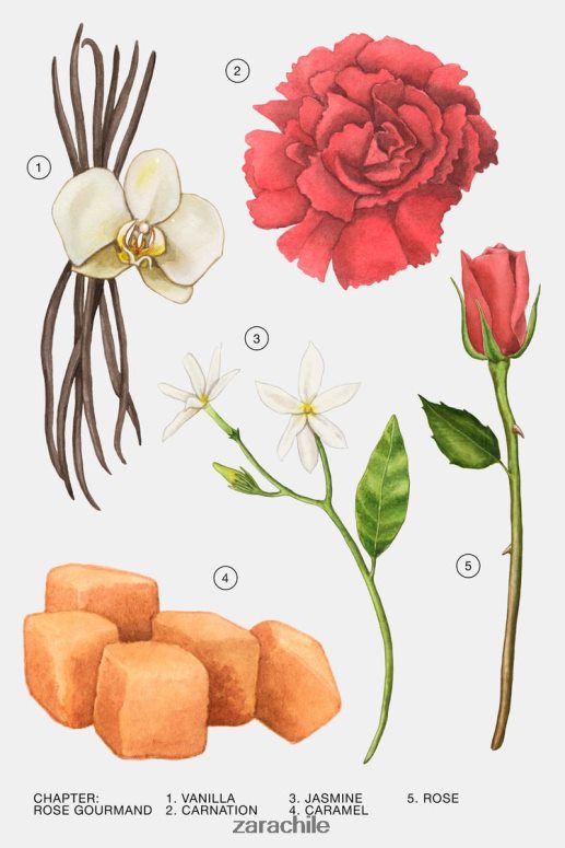 accesorios cl Zara mujer rosa golosa 10 ml original JJ06N4785