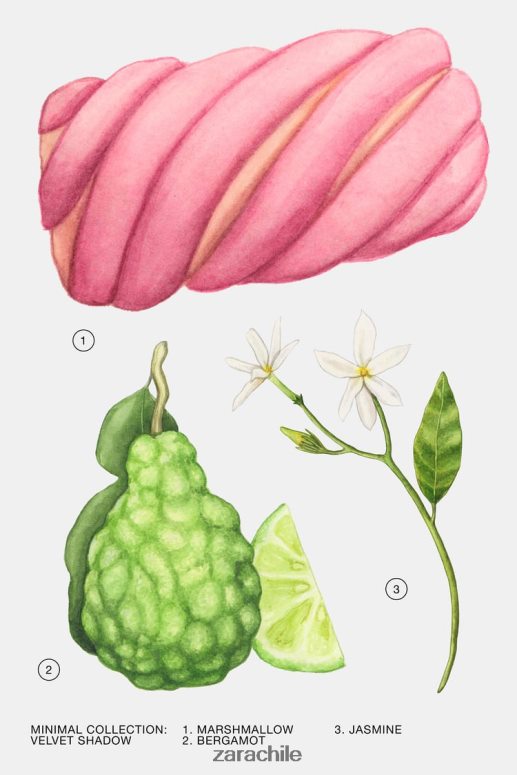 accesorios cl Zara mujer sombra de terciopelo 30 ml original JJ06N4791