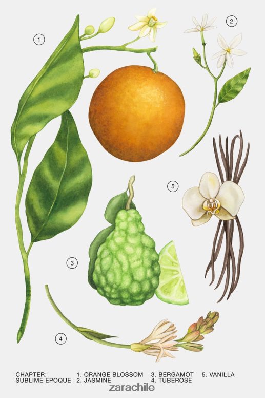 accesorios cl Zara mujer sublime epoque edp 80 ml original JJ06N4781