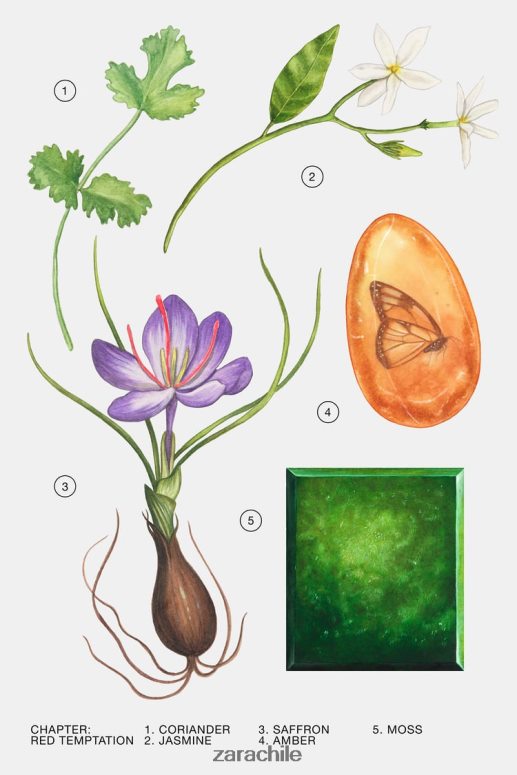 accesorios cl Zara mujer tentación roja 80 ml original JJ06N4772