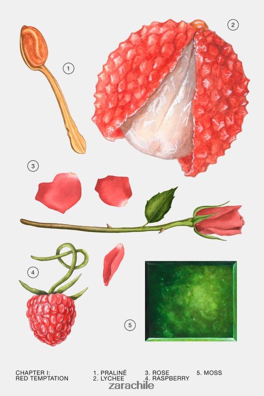 accesorios cl Zara mujer tentación roja verano 80 ml original JJ06N4776