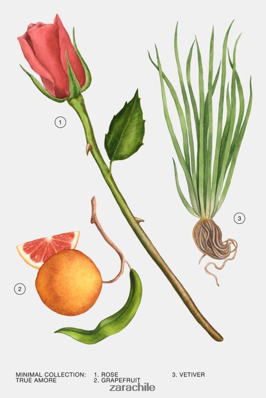 accesorios cl Zara mujer verdadero amor 100 ml original JJ06N4787