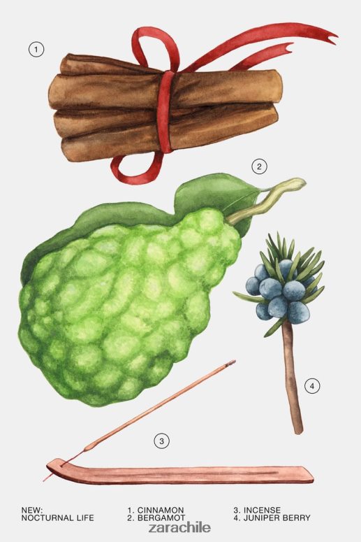 accesorios cl Zara mujer vida nocturna 80 ml (2,7 fl. oz) original JJ06N4770