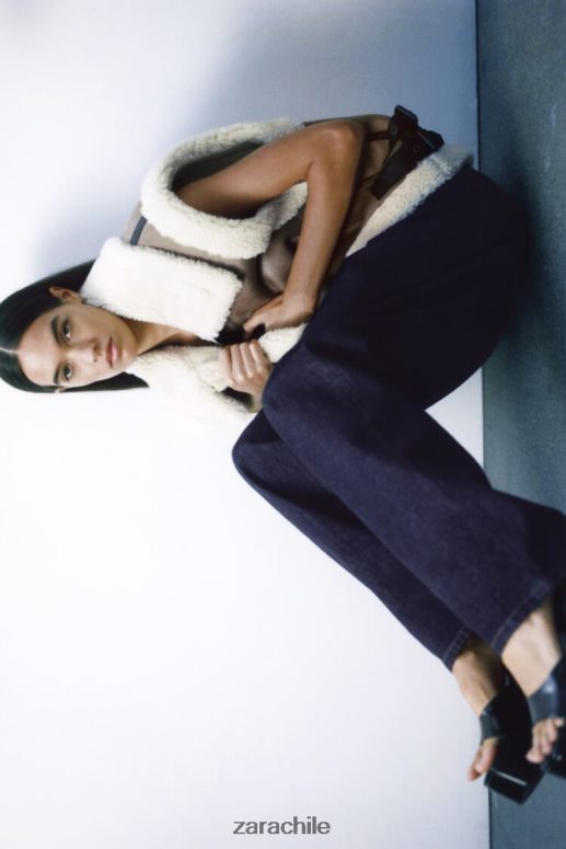 ropa cl Zara mujer chaleco de doble cara de la colección zw marrón/topo JJ06N4190