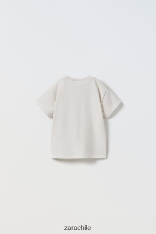 ropa cl Zara niños camiseta simple piedra JJ06N41572